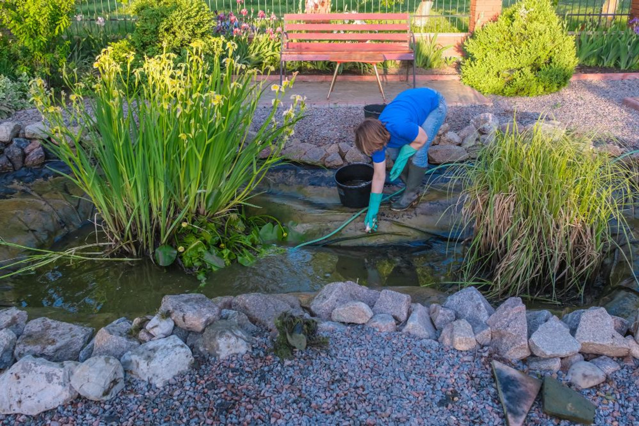 Cleaner Pond