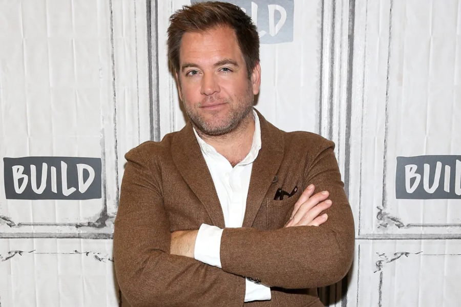 michael weatherly net worth